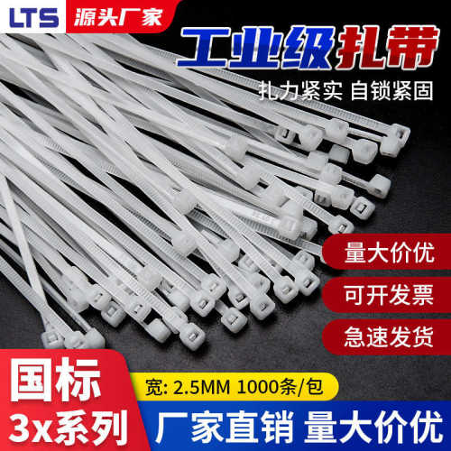 国标小规格扎带自锁式尼龙电子线路捆绑白色塑料黑白色每包1000条