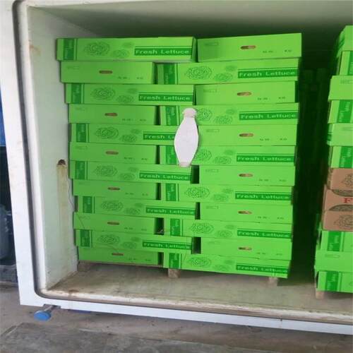 鲜切蔬菜真空预冷机 大型全自动保鲜真空冷却机 瓜果真空预冷设备