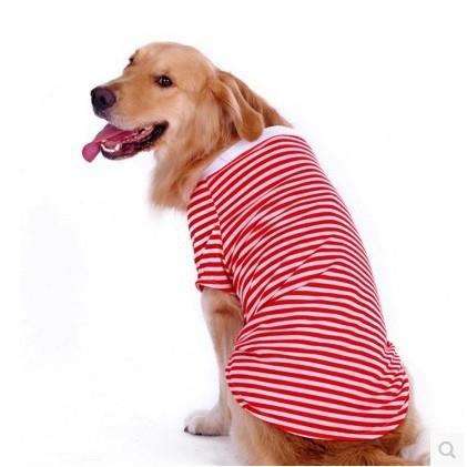 金毛萨摩耶边牧大狗衣服狗狗背心宠物衣服春夏中大犬汗衫T恤