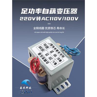 变压器AC220V转AC110V100V自耦110V转220VAC 电压 转换器定制新品
