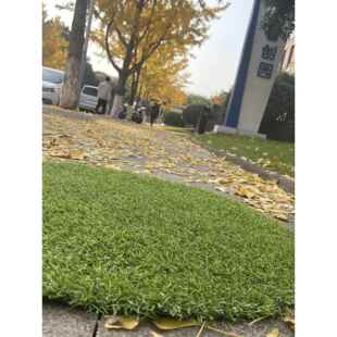 井盖遮挡装饰圆形草坪垫圆桌草皮垫子 井盖遮丑草垫彷真绿植假草