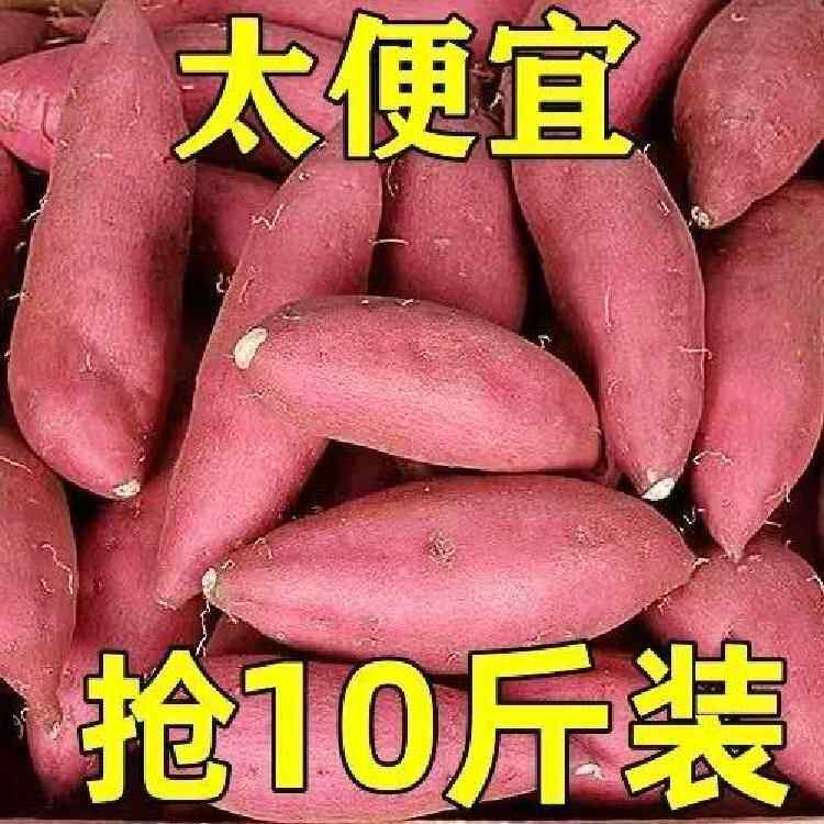 【太便宜】蜜薯新鲜超甜沙地红薯黄心板栗糖心番薯黄金蜜山芋地瓜