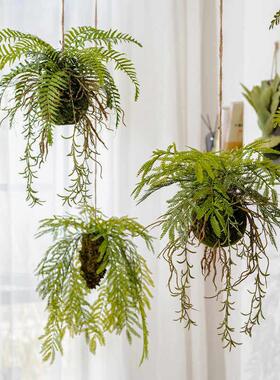 掬涵仿真蕨类垂吊悬挂挂盆植物吊球吊饰空中挂饰花艺壁挂橱窗装饰