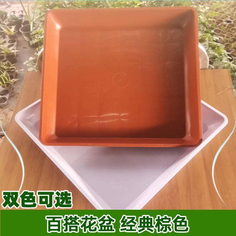 9至145方形托盘塑料底盘低盆花盆托红白低坐接水盆方形低盆垫