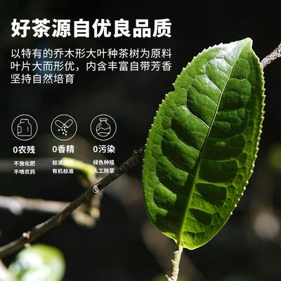 【买1送1】积庆里英德红茶英红九号浓香型有机红茶广东特产共450g