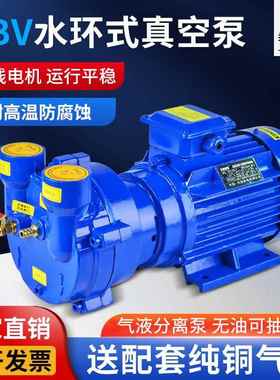 2BV系列环式LMM真空泵机工业真用高真空水循环空泵雕刻真空吸水附