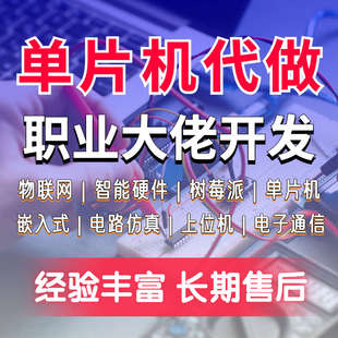 51单片机代做硬件设计stm32程序电子实物开发树莓派定制qt上位机