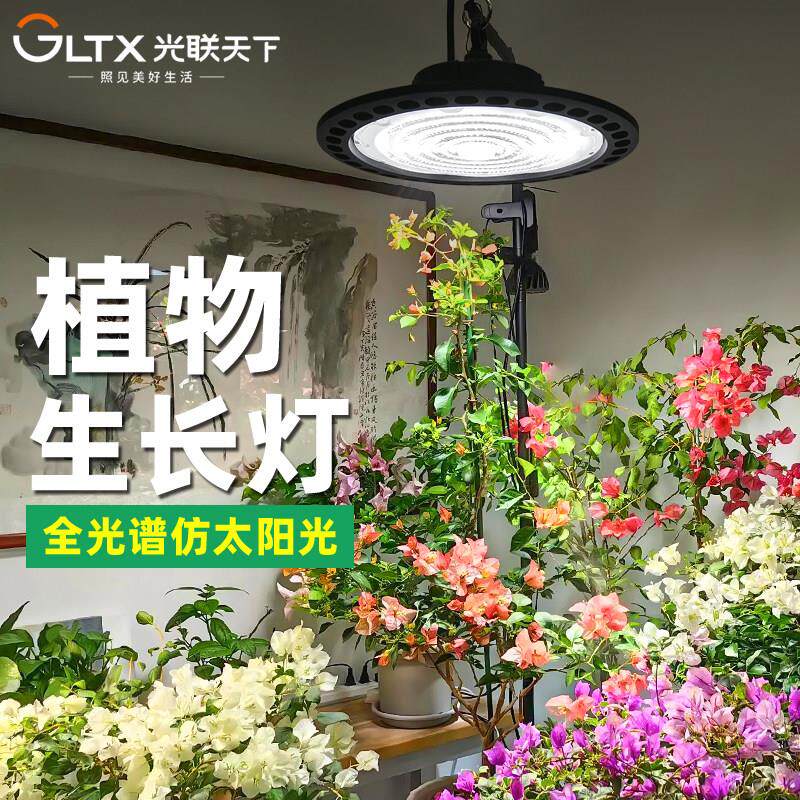 光联天下全光谱植物生长灯月季三角梅绣球花卉绿植补光灯彷太阳光