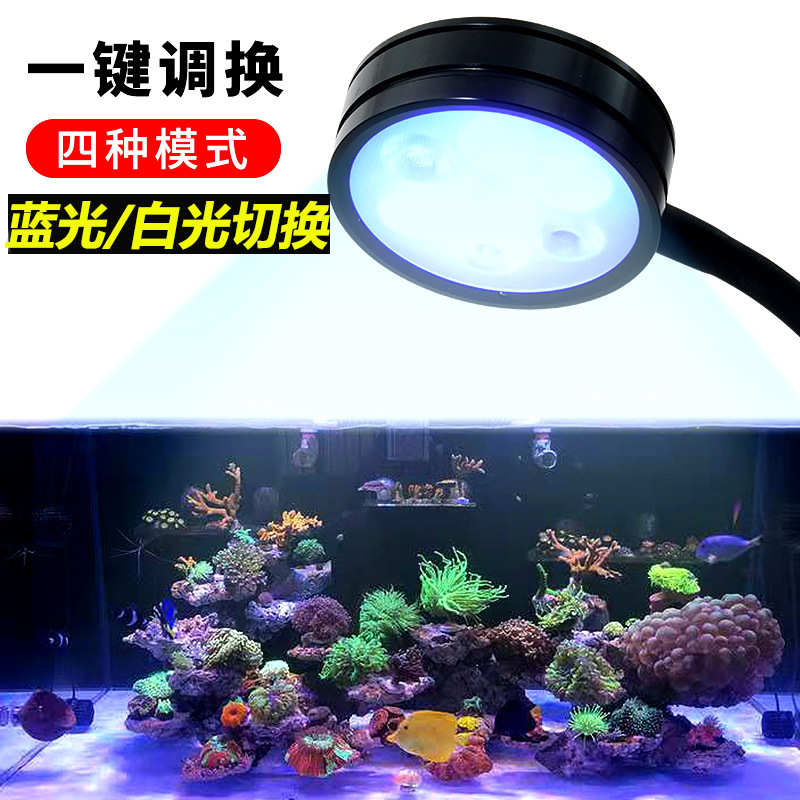 直供可调亮度海缸灯微缸珊瑚灯海水藻缸灯白光蓝光切换水草灯