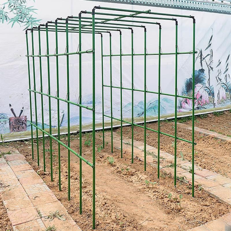 黄瓜种菜豆角爬藤架葡萄架子四季豆花架庭院户外支撑丝瓜架植物支
