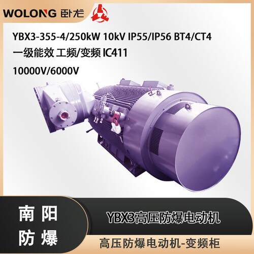 高压防爆YB3替换YBX3-355-4/250kW 6000V IP56 H级绝缘 -20℃ BT4