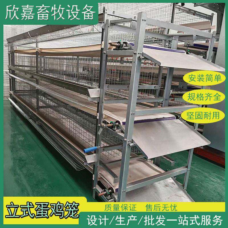 鸡笼三层四层四门五门蛋鸡笼养殖场H型立式手摇电动清粪带粪盘
