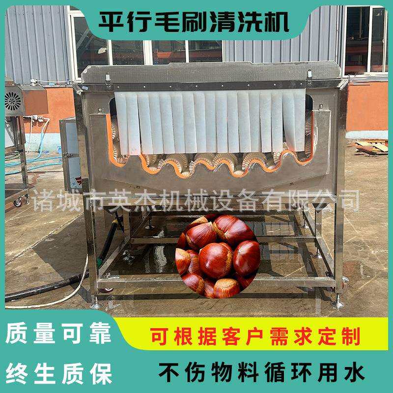 商用栗子平行毛辊机 板栗平行毛辊清洗机 高压喷喷毛刷清洗清洗
