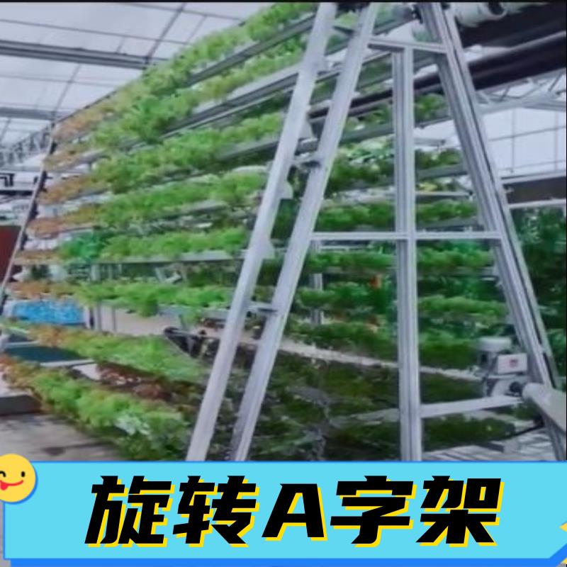 高架多层栽培A字型支架 草莓立体种植旋转A字架温室大棚栽培种植