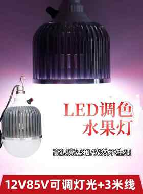 2024新款灯12v电瓶专用可调色led生鲜灯48v电动车变色灯水果G1