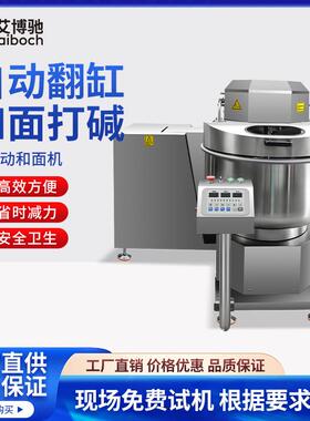工厂自动翻转式翻缸和面机双速双动商用小笼包老面打碱机