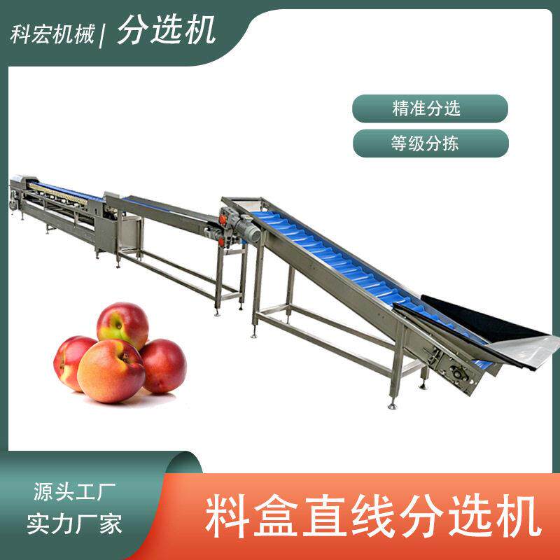 山东厂家油桃枇杷山竹智能分选直线料盒等级分拣设备重量分级机
