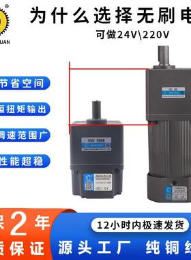无刷电机交流减制速微型速220V速直流马调达恒扭变矩LLG力矩控器