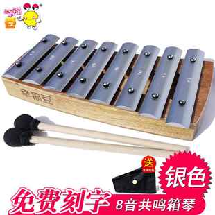 正品学1校5音琴音小学生铝板钢琴乐教具25音木琴钢铁钢琴金属钢琴