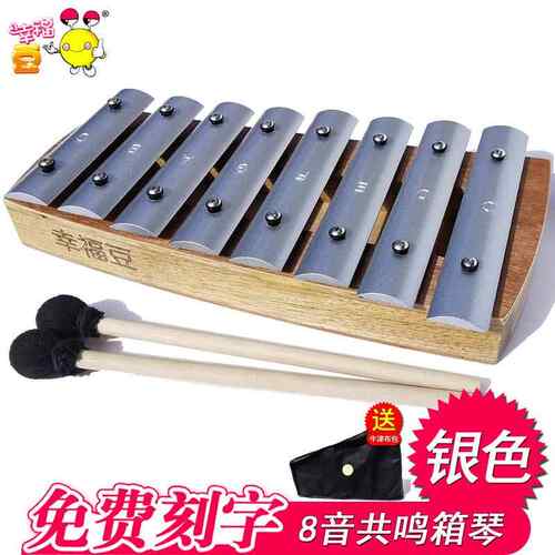 正品学1校5音琴音小学生铝板钢琴乐教具25音木琴钢铁钢琴金属钢琴