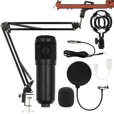 Bm800 condenser microphone + V8 sound card computer recordin