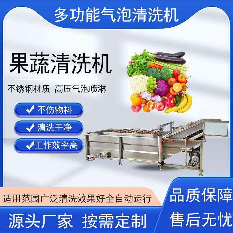 果蔬气泡清洗机设备草莓樱桃水果清洗机芸豆黄瓜气泡清洗设备