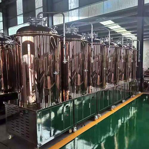 啤酒制冷发酵罐精酿啤酒设备扎啤机商用酿酒设备锥形啤酒罐500L