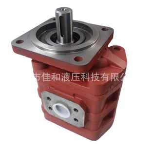 性能稳定 多种规格 柳工装 载机齿轮泵11C1652