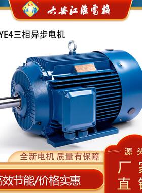 南阳防爆WE4电机4千瓦4极三相异步电机WE4-112M-4/4KW二级能效