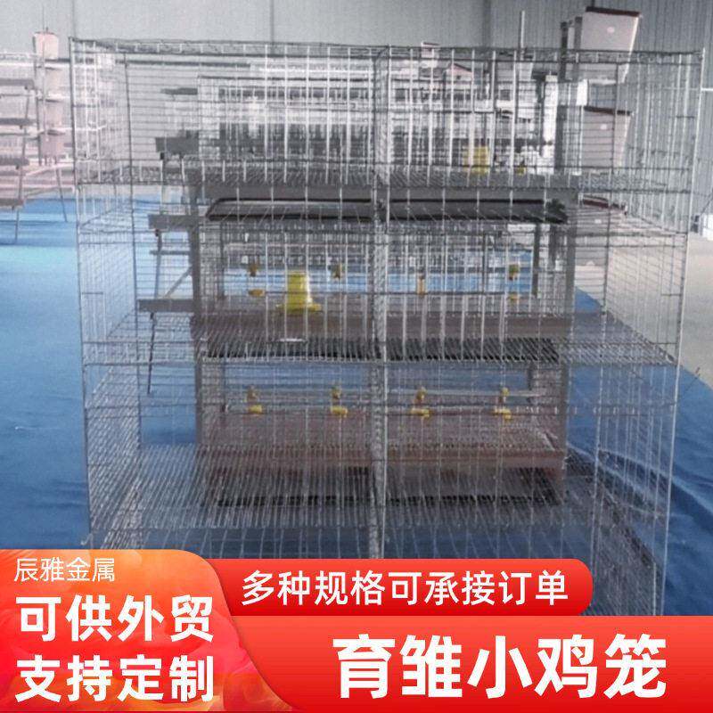 冷镀锌农用家禽养小鸡笼子养殖笼具立式小鸡育雏鸡繁殖笼养殖笼