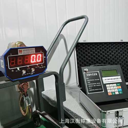 上海OCS直视吊秤吊钩秤300kg/20g吊钩秤