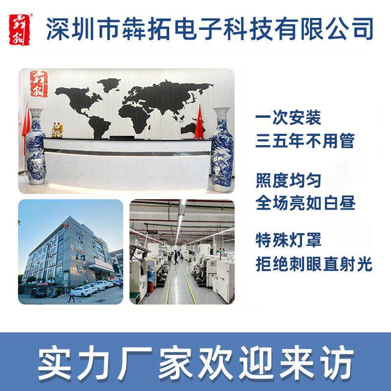 羽球馆专用灯羽毛FBW球毛场乒乓育馆篮球馆灯内球场灯室体照明吊