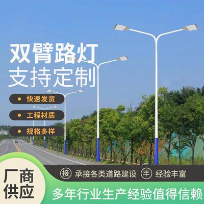 led双臂路灯10米一体化照明灯市政工程道路大型户外路灯厂家供应