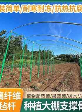 绿色空心管新型玻璃纤维管百香果种植遮阳棚搭架户外农用大棚立柱