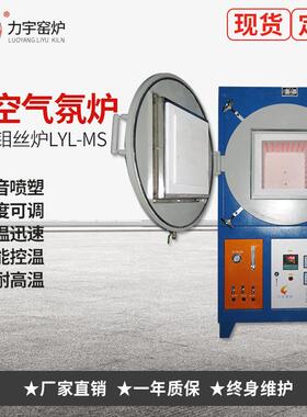 炉窑氢气钼丝炉LYL-MS温真空气氛炉热处理管式炉