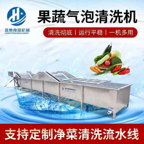圣女果果蔬气泡清洗机红枣辣椒气泡清洗机中药材气泡清洗设备