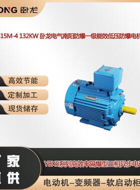 C-4 132KW 卧龙电气南阳防爆一级能效低压防爆电机