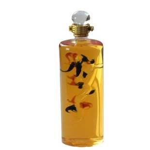 500ml直管彩龙白酒瓶工艺泡酒瓶内置龙形泡酒器龙形泡酒器