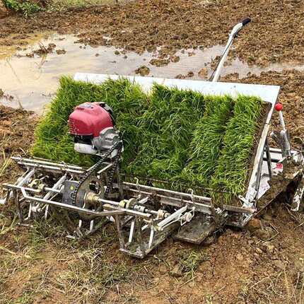 轻巧型4行水稻插秧机水田农用全自动汽油6行种植移栽热销机型