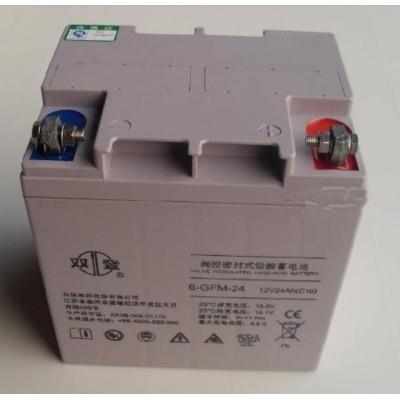 双登蓄电池6-GFM-24 铅酸免维护12V24AH 消防医疗应急供电系统
