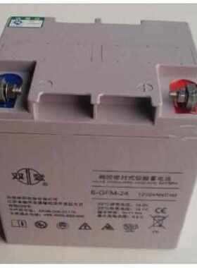 双登蓄电池6-GFM-24 铅酸免维护12V24AH 消防医疗应急供电系统