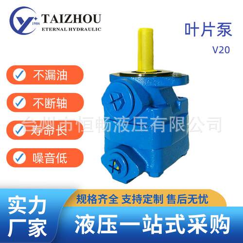 厂家供应定量固定排量叶片泵液压油泵低压V10/V20小液压站