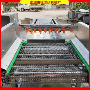 喷淋式 南瓜丝清洗机 樱桃气泡清洗机洗苹果设备带风冷线