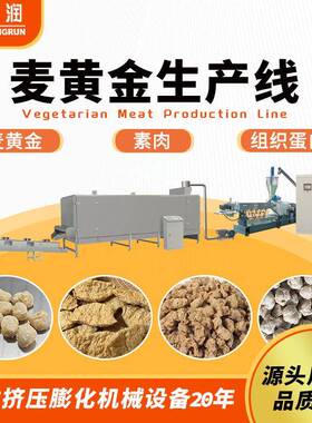 新款全自动麦黄金设备厂家植物蛋白组织生产线膨化机