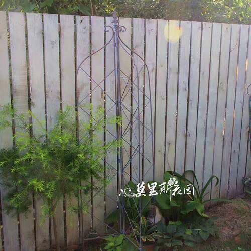 莫里斯花园 花园杂货三面地插爬藤架植物攀爬架铁线莲爬架
