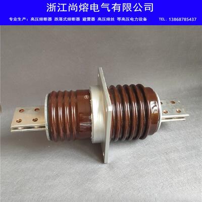 电站接线铜牌穿墙套管CWC-CWW-20KV/630A2000A3150A4000A专用陶瓷