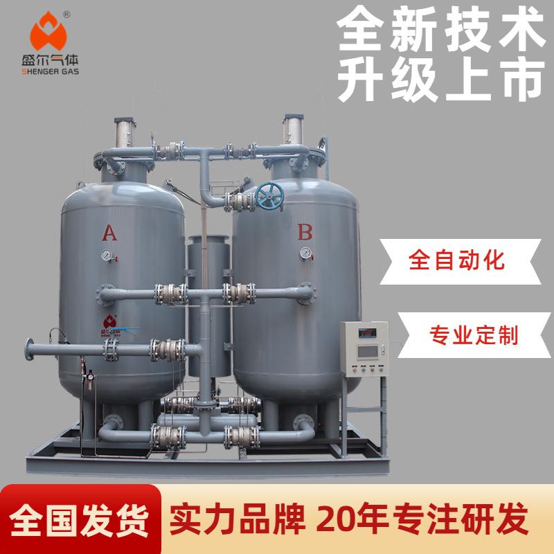 PSA变压吸附制氮机 制氮装置 氮气发生器 盛尔气体 厂家直供