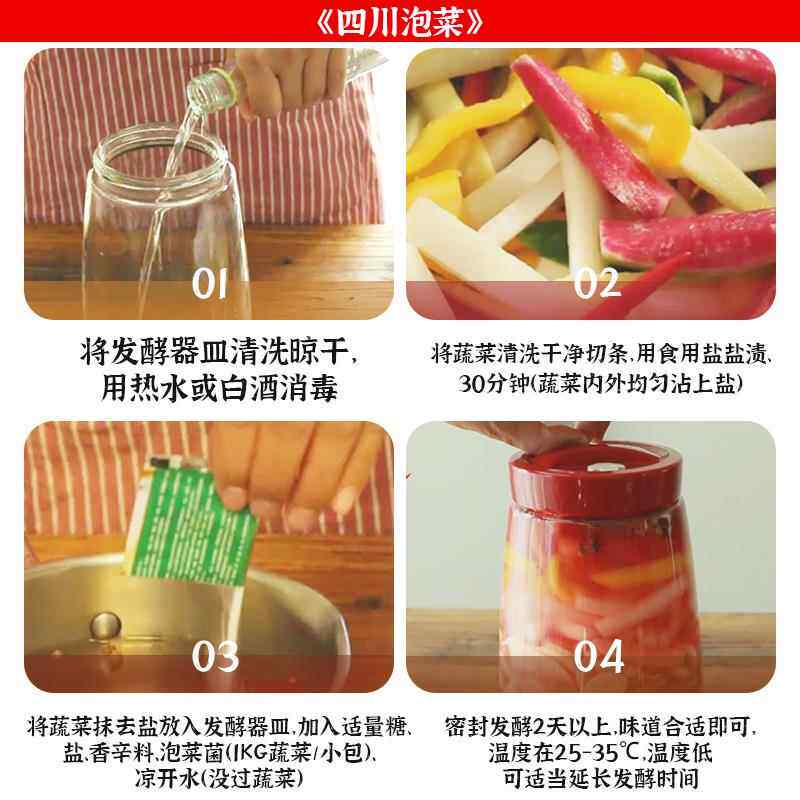 泡菜发酵菌正品粉乳酸菌泡菜母水粉四川泡菜东北老坛酸菜不生花剂