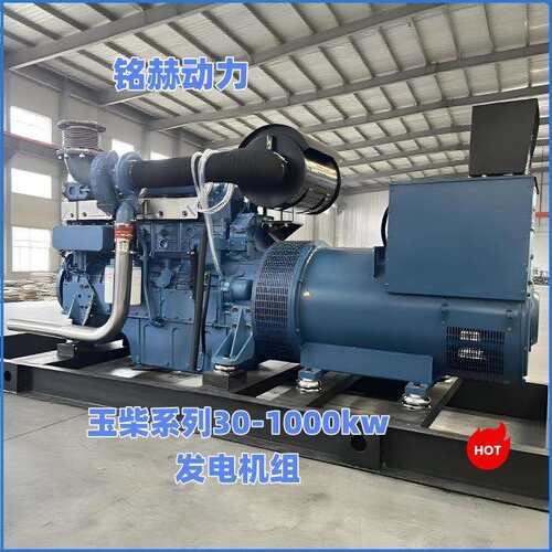 玉柴30-1000kw柴油机发电机组用于算力中心工厂电站养殖应急