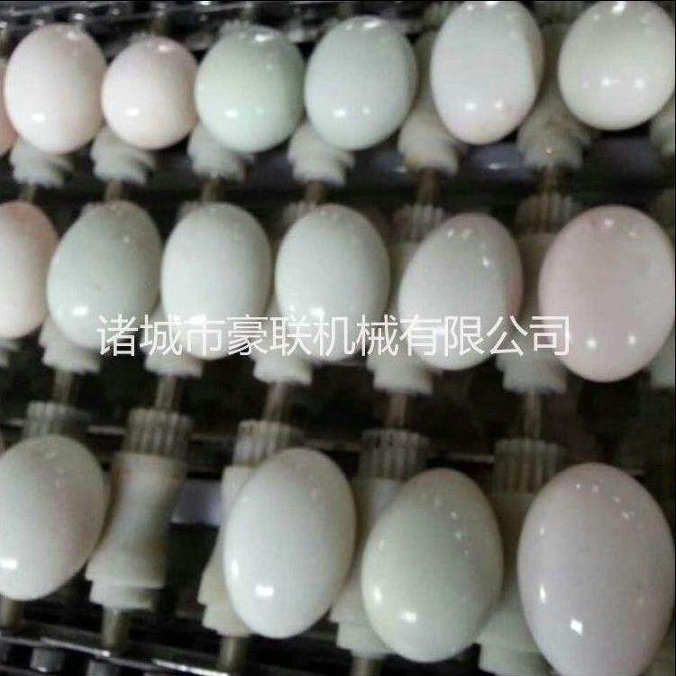 定做全自动洗蛋机/毛刷+喷淋清洗蛋类洗净率高/蛋品清洗加工线
